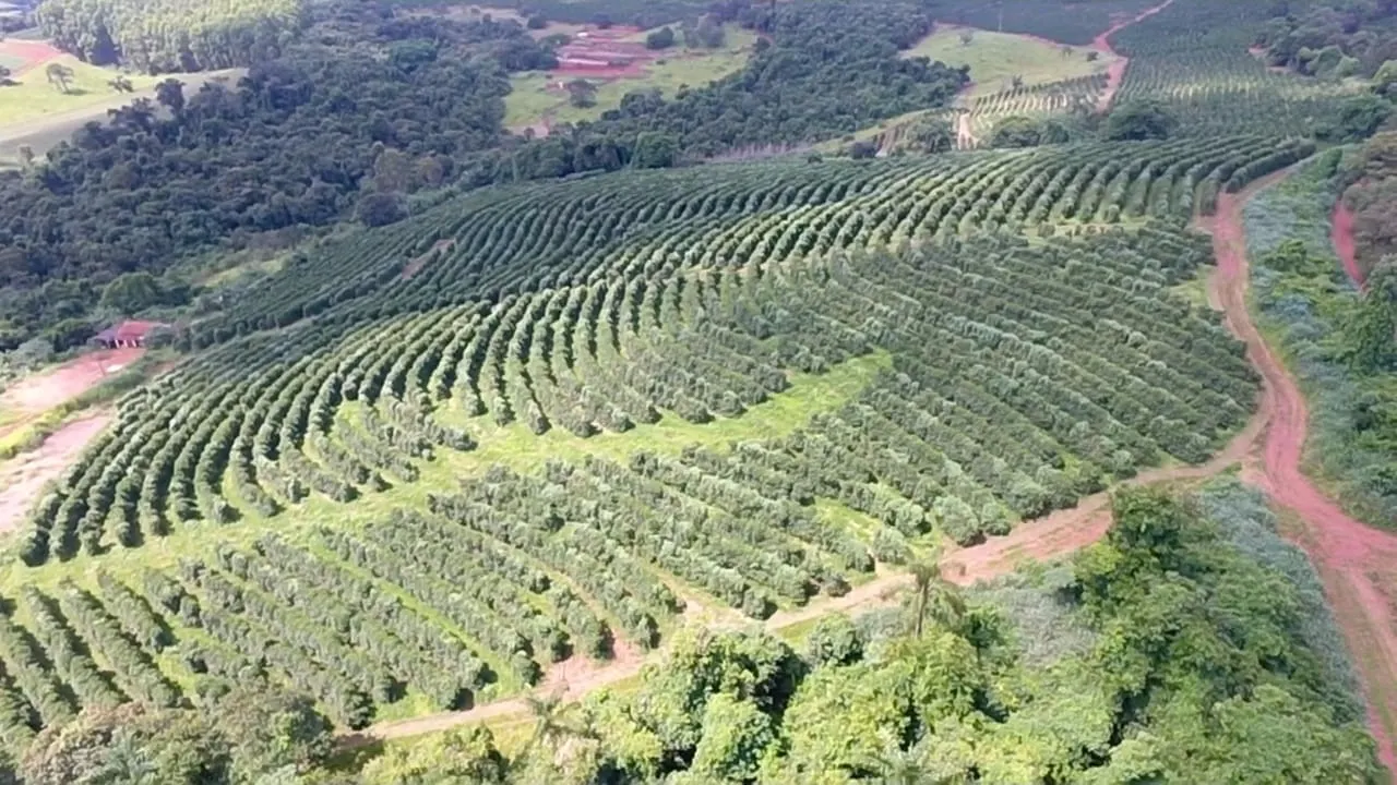 Fazenda à venda de 65 ha em Nepomuceno, MG, Brasil