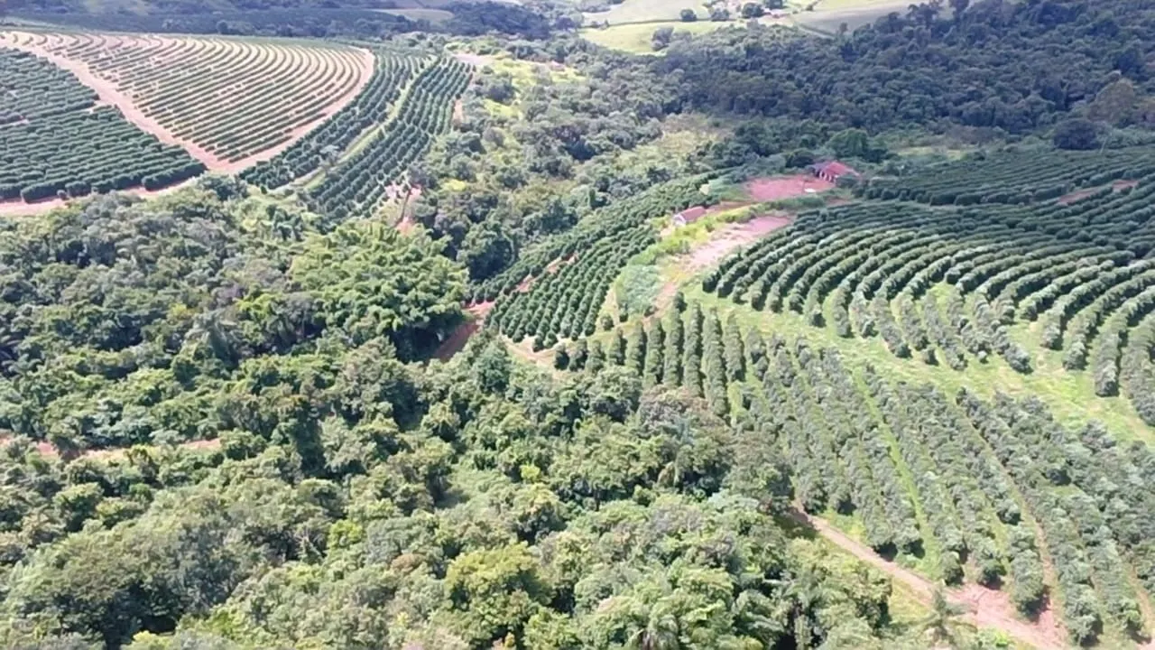 Fazenda à venda de 65 ha em Nepomuceno, MG, Brasil