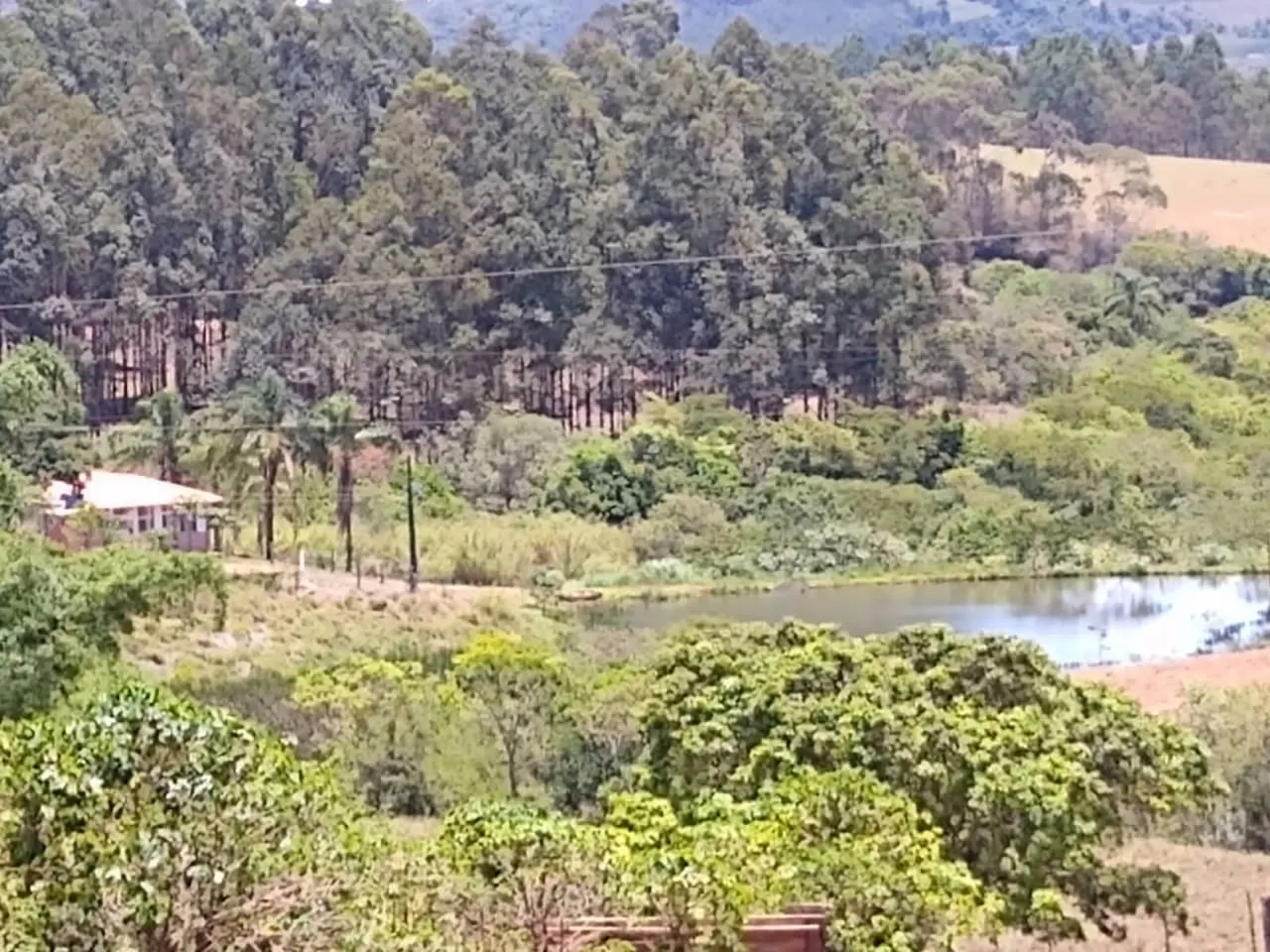 Fazenda à venda de 65 ha em Nepomuceno, MG, Brasil