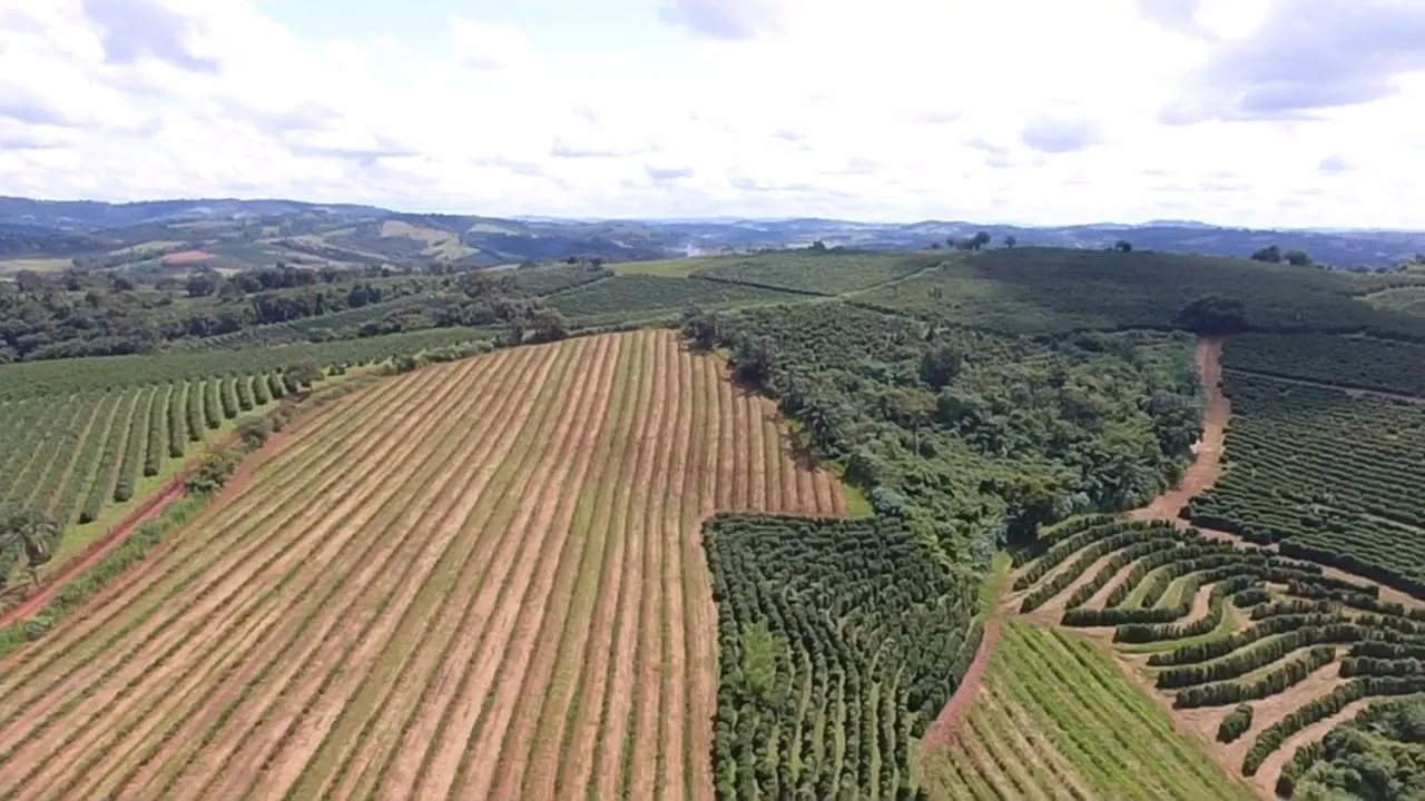 Fazenda à venda de 65 ha em Nepomuceno, MG, Brasil