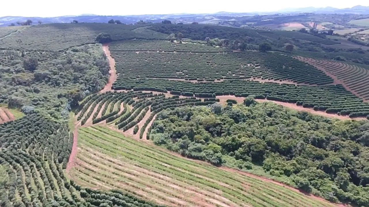 Fazenda à venda de 65 ha em Nepomuceno, MG, Brasil