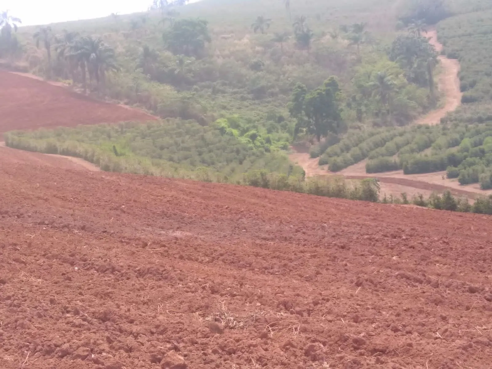 Fazenda à venda de 65 ha em Nepomuceno, MG, Brasil