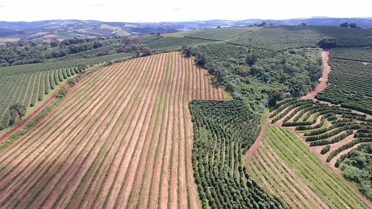 Fazenda à venda de 65 ha em Nepomuceno, MG, Brasil
