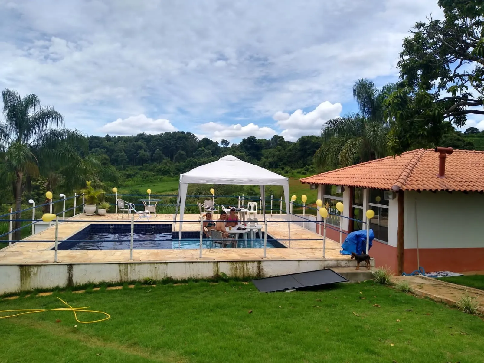 Fazenda à venda de 65 ha em Nepomuceno, MG, Brasil