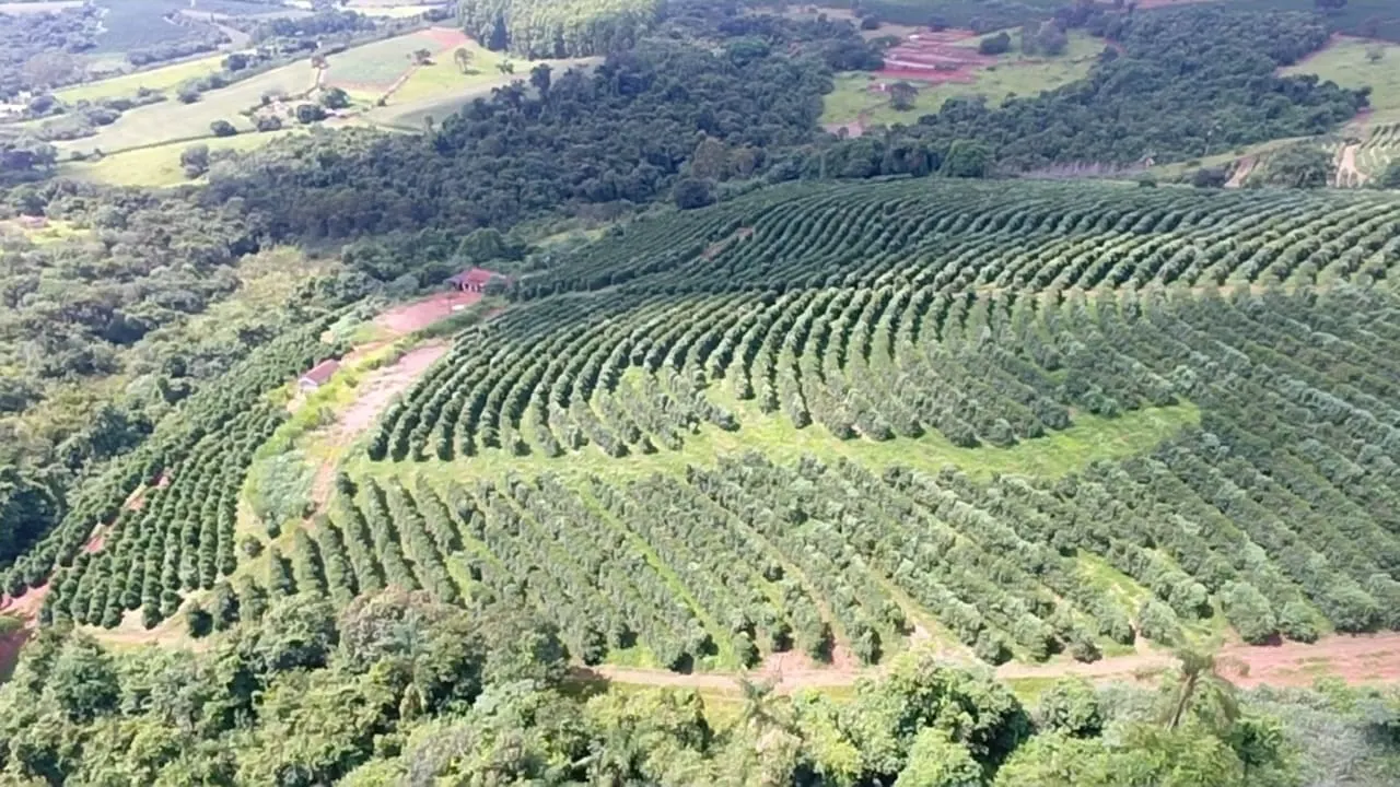 Fazenda à venda de 65 ha em Nepomuceno, MG, Brasil