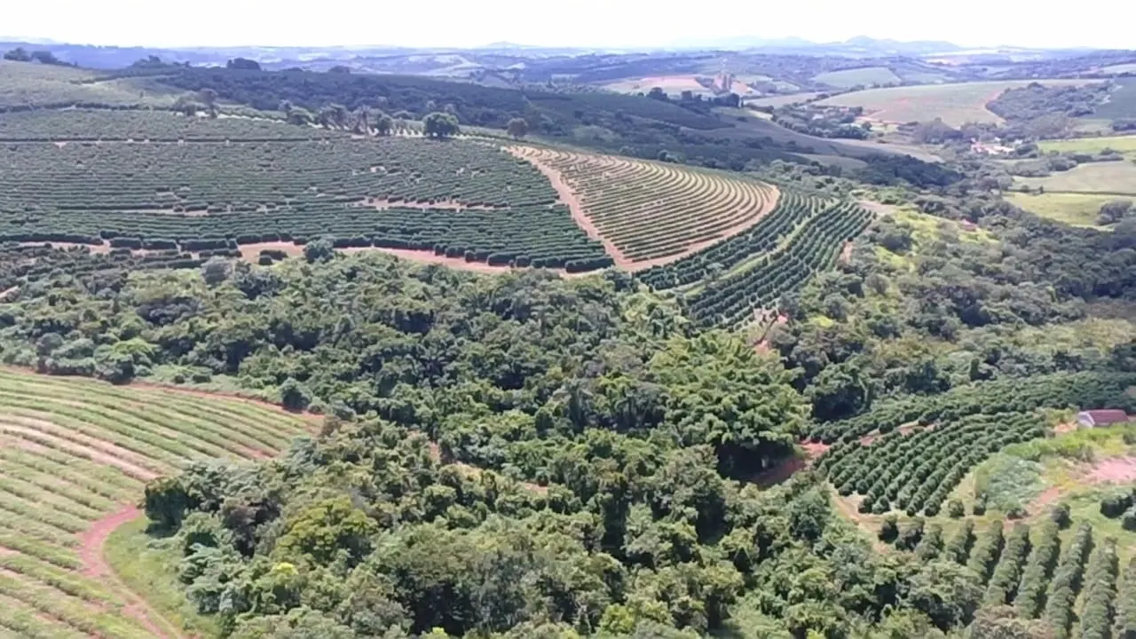 Fazenda à venda de 65 ha em Nepomuceno, MG, Brasil