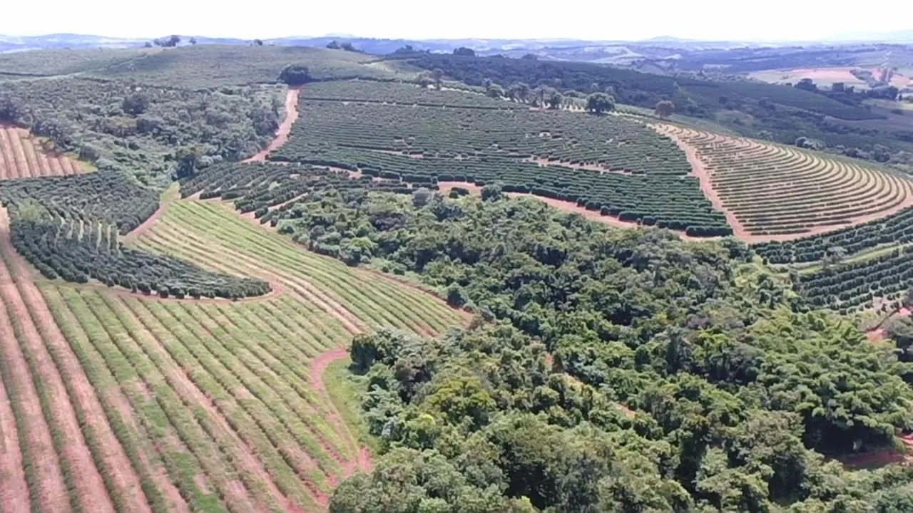 Fazenda à venda de 65 ha em Nepomuceno, MG, Brasil