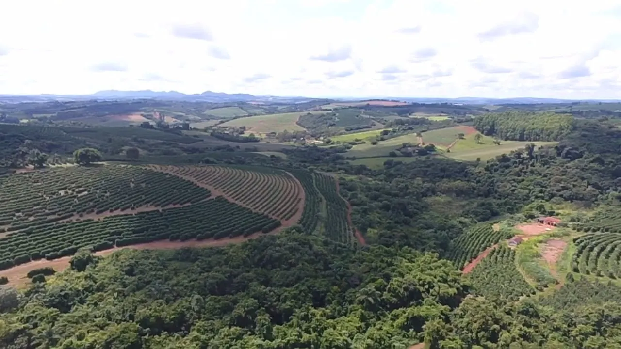 Fazenda à venda de 65 ha em Nepomuceno, MG, Brasil