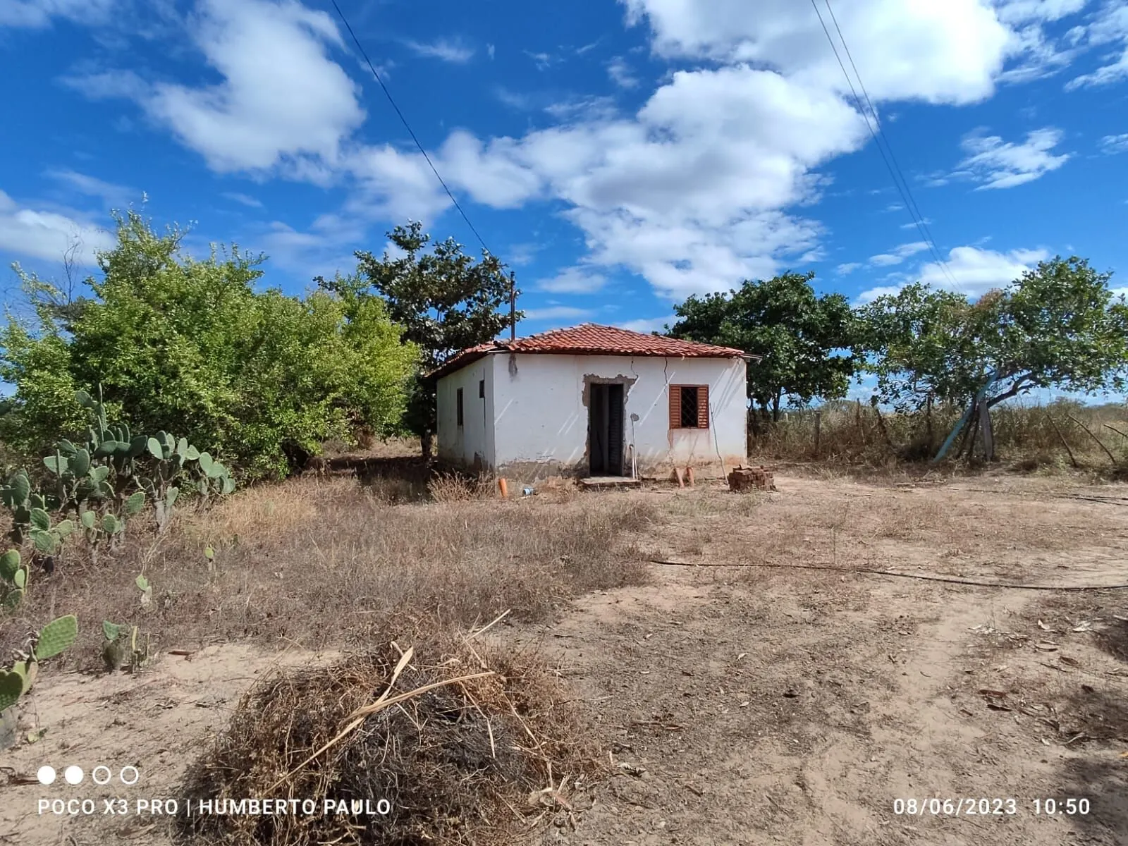 Fazenda à venda de 645 ha em Ibotirama, BA, Brasil