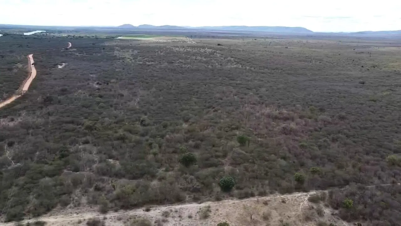 Fazenda à venda de 645 ha em Ibotirama, BA, Brasil