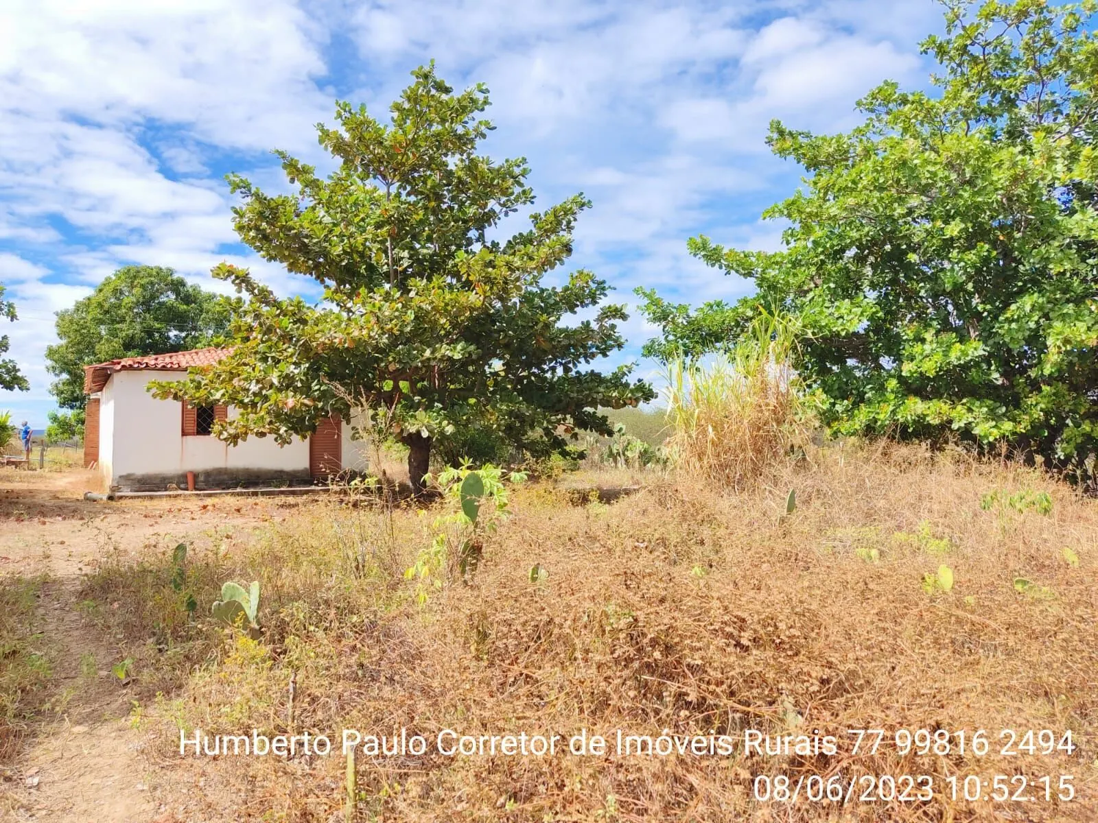 Fazenda à venda de 645 ha em Ibotirama, BA, Brasil