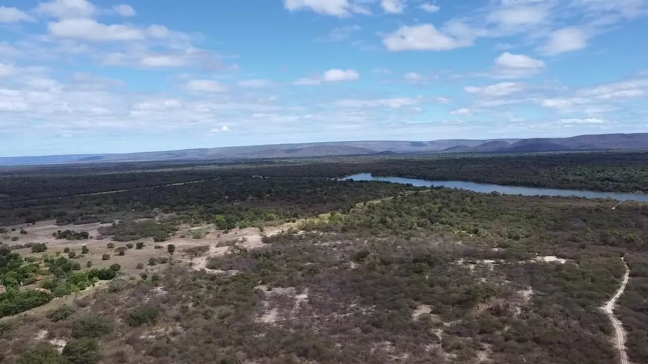 Fazenda à venda de 645 ha em Ibotirama, BA, Brasil