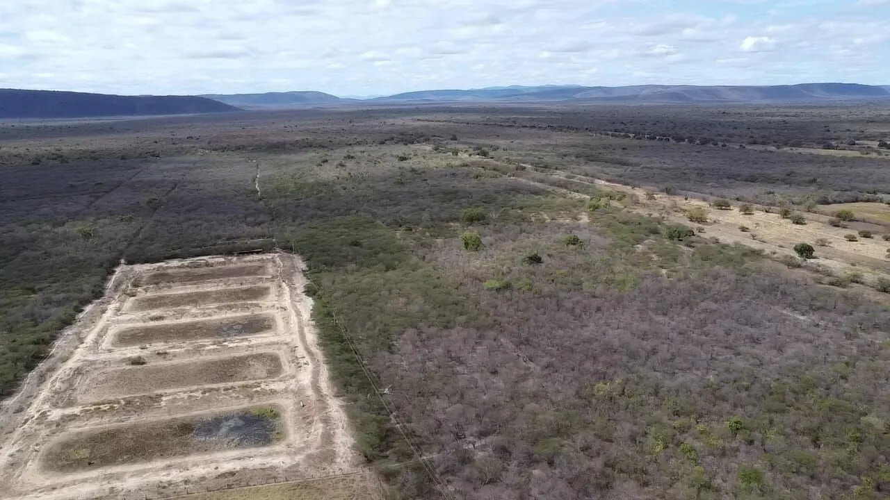 Fazenda à venda de 645 ha em Ibotirama, BA, Brasil