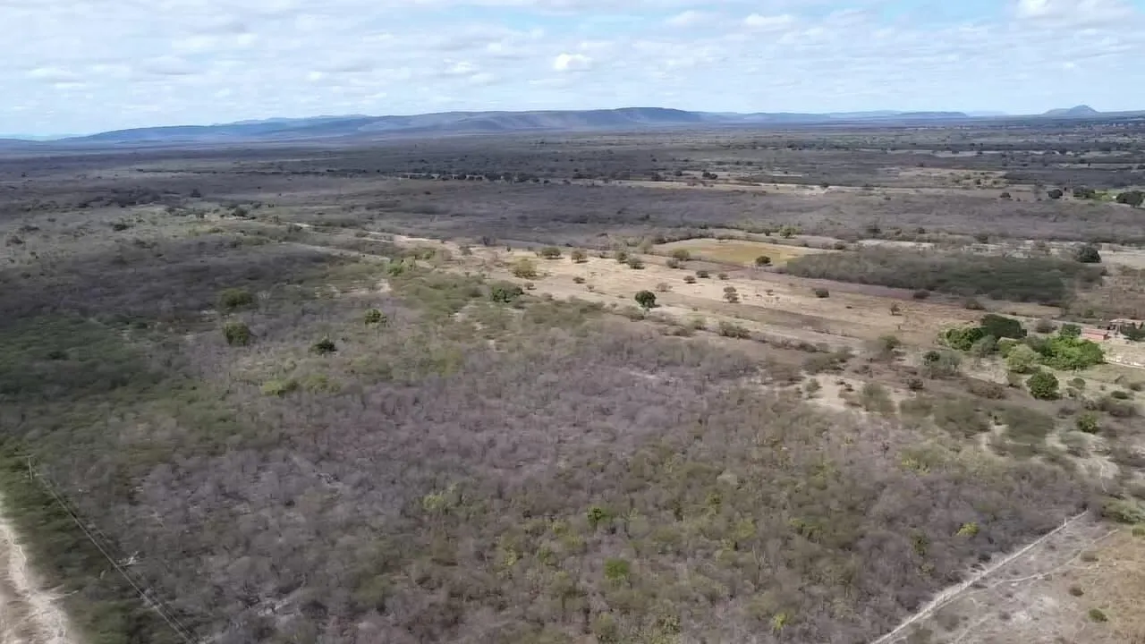 Fazenda à venda de 645 ha em Ibotirama, BA, Brasil