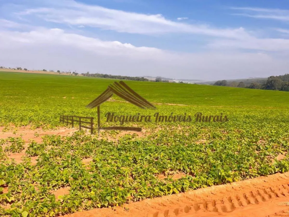 Fazenda à venda de 418 ha em Avaré, SP, Brasil
