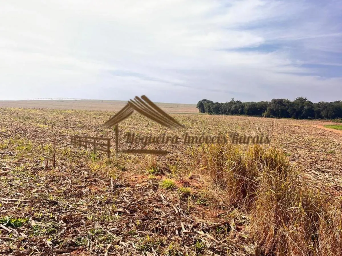 Fazenda à venda de 418 ha em Avaré, SP, Brasil