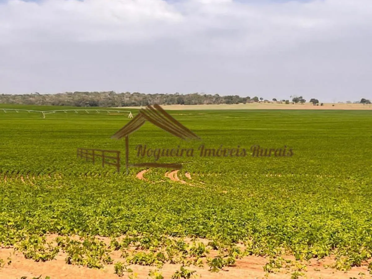Fazenda à venda de 418 ha em Avaré, SP, Brasil