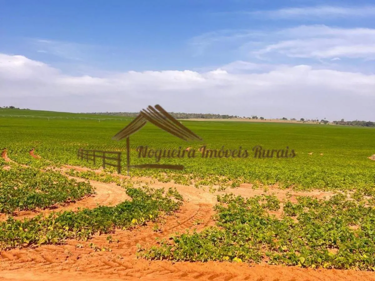 Fazenda à venda de 418 ha em Avaré, SP, Brasil