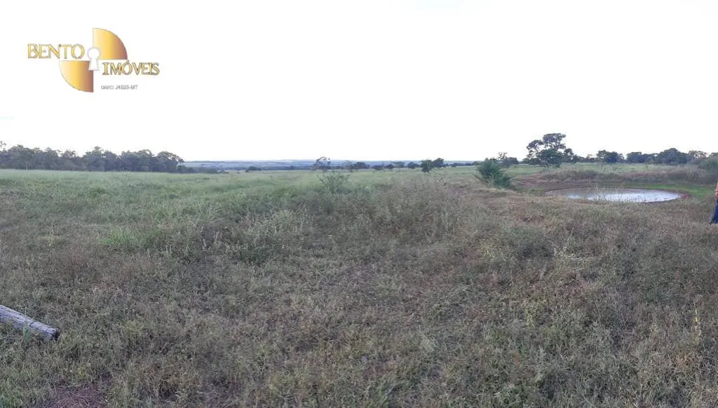 Fazenda à venda de 680 ha em Rondonópolis, MT, Brasil