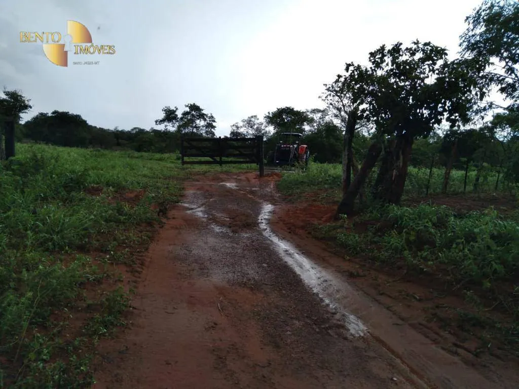 Fazenda à venda de 680 ha em Rondonópolis, MT, Brasil