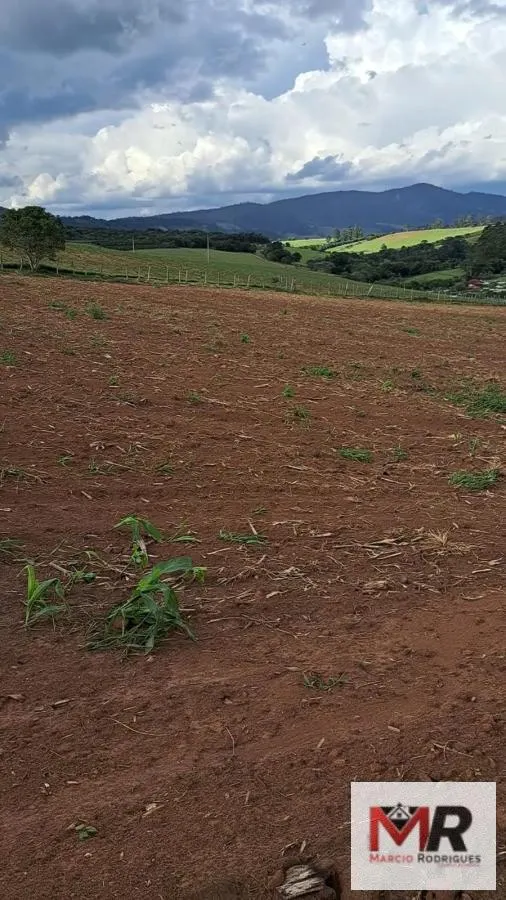 Sítio à venda e para Arrendar de 6 ha em Careaçu, MG, Brasil