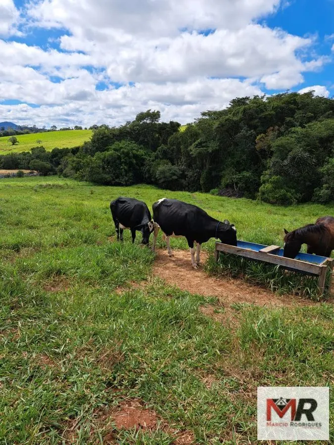 Sítio à venda e para Arrendar de 6 ha em Careaçu, MG, Brasil