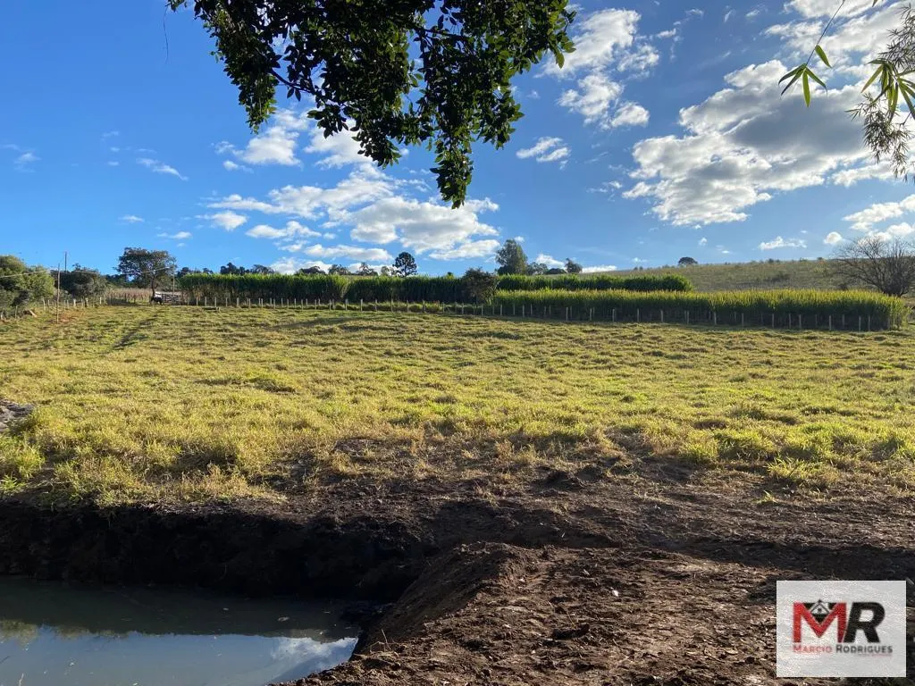 Sítio à venda e para Arrendar de 6 ha em Careaçu, MG, Brasil