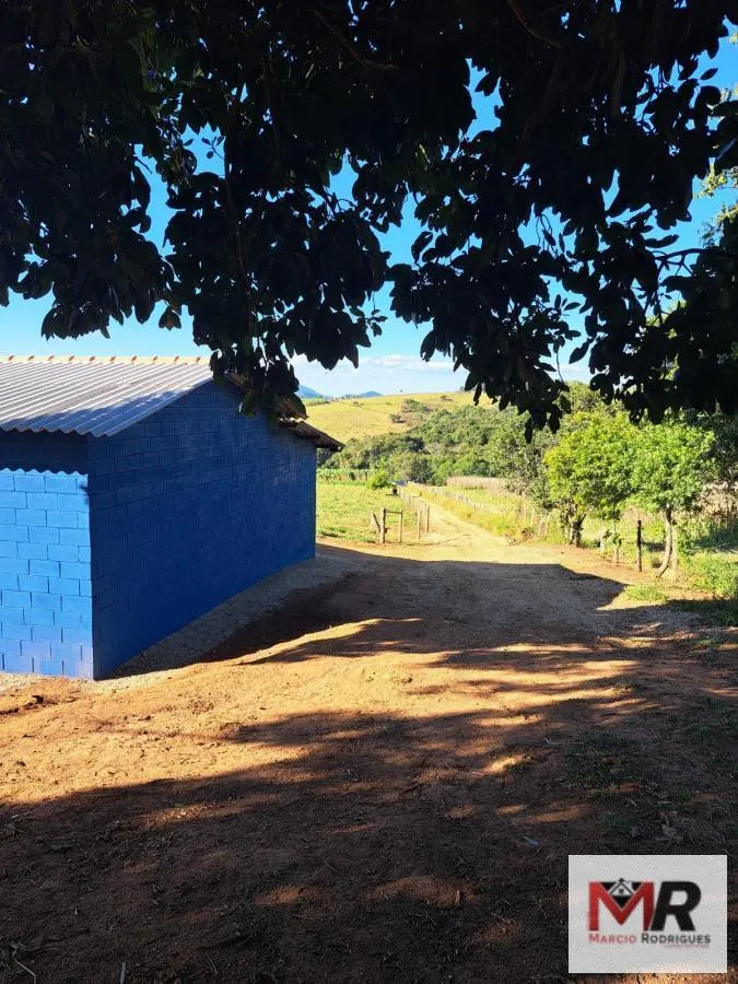 Sítio à venda e para Arrendar de 6 ha em Careaçu, MG, Brasil