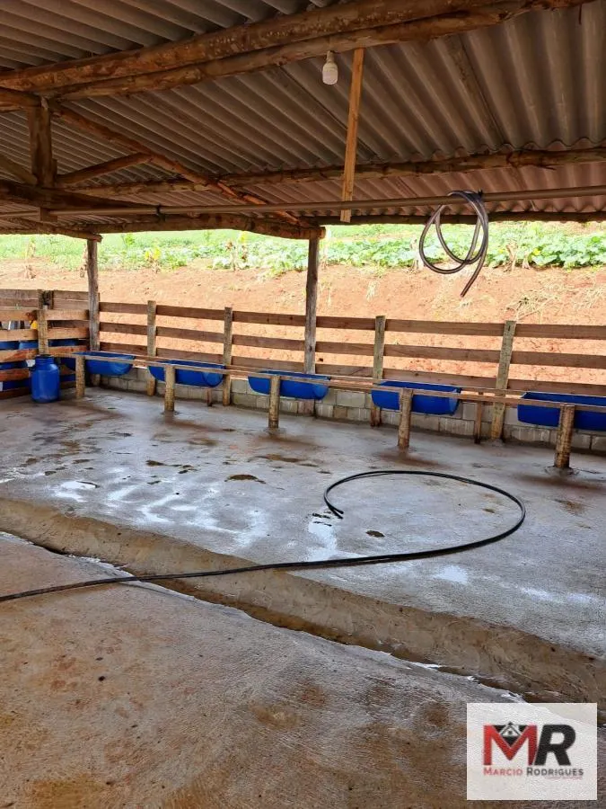 Sítio à venda e para Arrendar de 6 ha em Careaçu, MG, Brasil