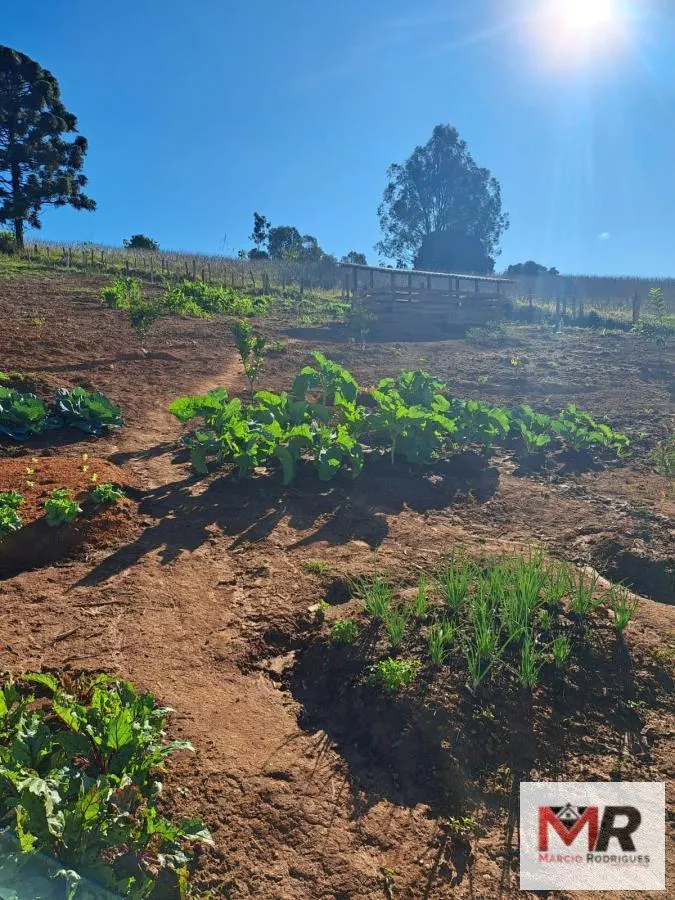 Sítio à venda e para Arrendar de 6 ha em Careaçu, MG, Brasil