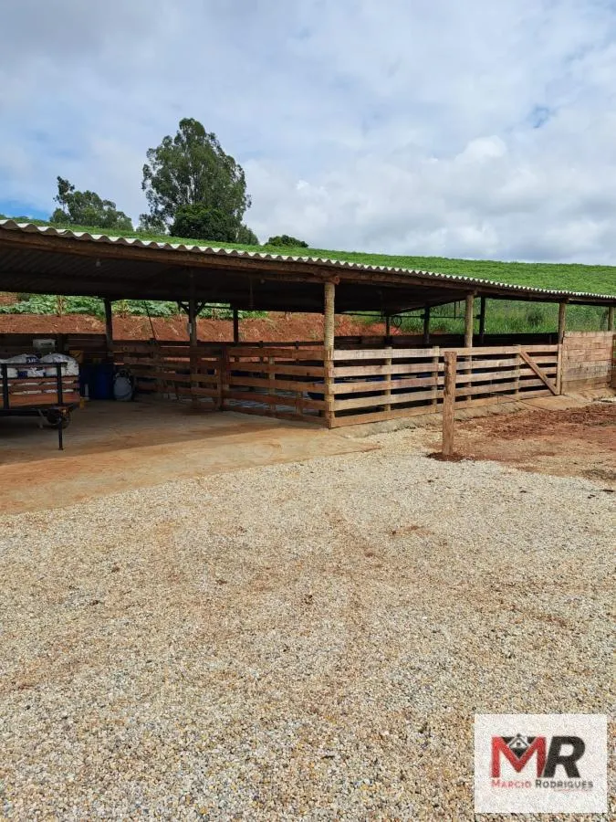 Sítio à venda e para Arrendar de 6 ha em Careaçu, MG, Brasil