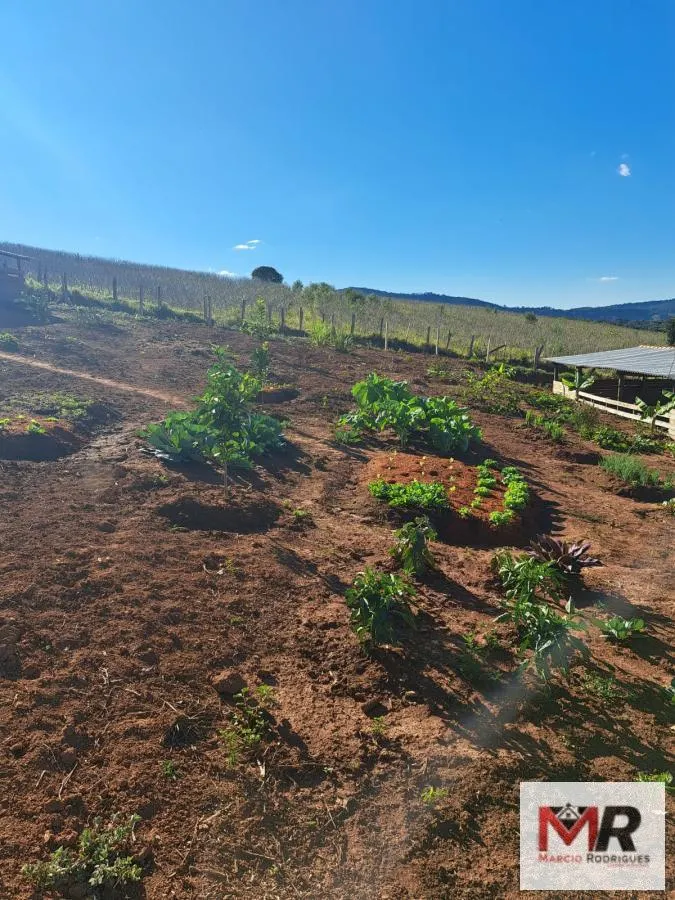 Sítio à venda e para Arrendar de 6 ha em Careaçu, MG, Brasil
