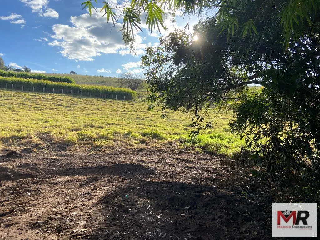 Sítio à venda e para Arrendar de 6 ha em Careaçu, MG, Brasil