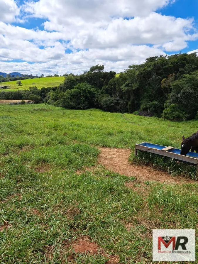 Sítio à venda e para Arrendar de 6 ha em Careaçu, MG, Brasil