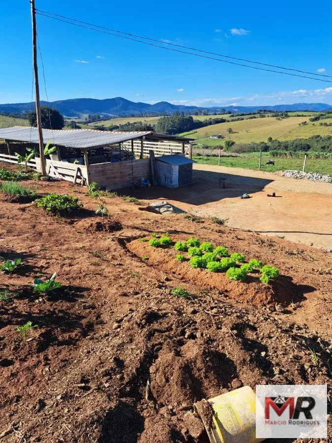 Sítio à venda e para Arrendar de 6 ha em Careaçu, MG, Brasil