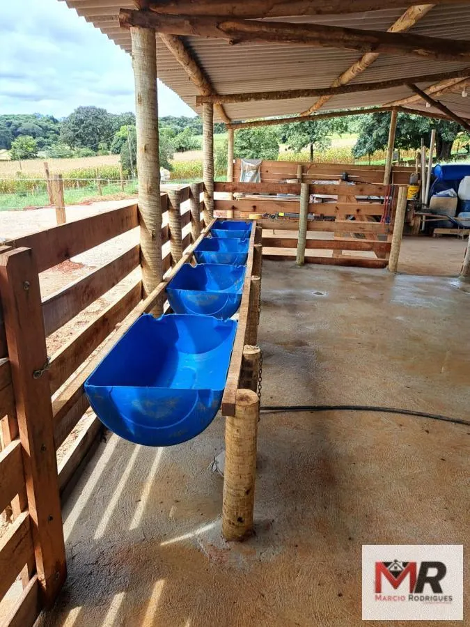 Sítio à venda e para Arrendar de 6 ha em Careaçu, MG, Brasil