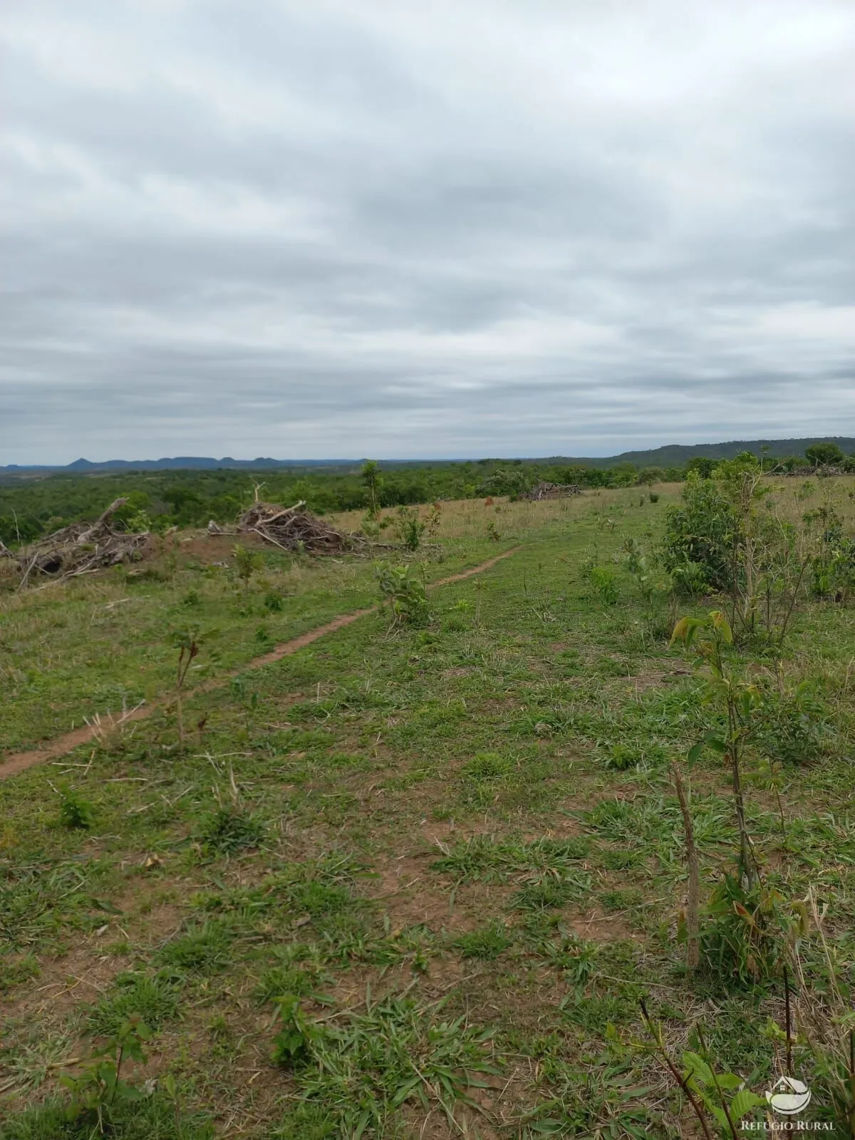 Fazenda à venda de 700 ha em Camapuã, MS, Brasil