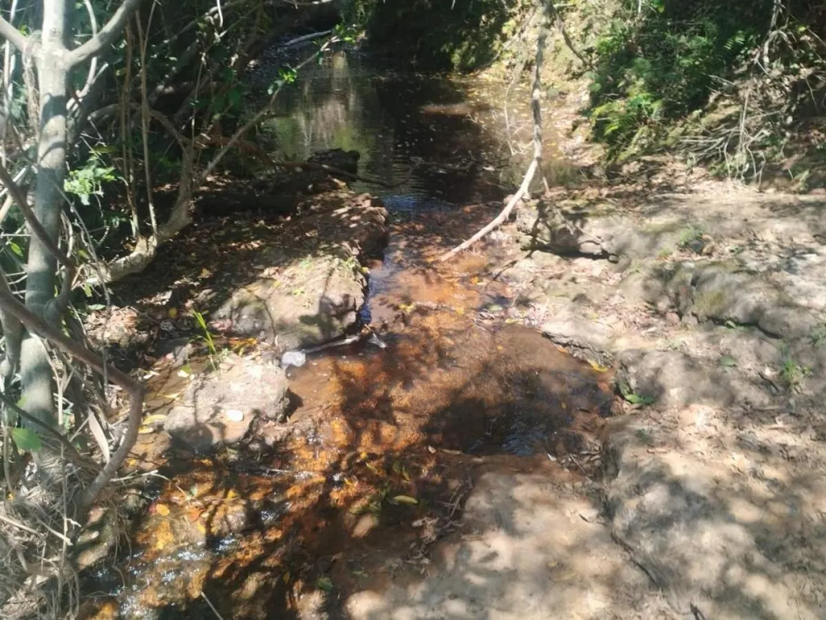 Fazenda à venda de 56 ha em Cássia dos Coqueiros, SP, Brasil
