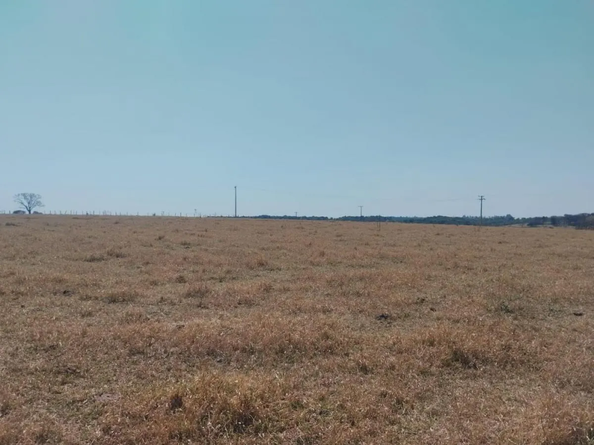 Fazenda à venda de 56 ha em Cássia dos Coqueiros, SP, Brasil