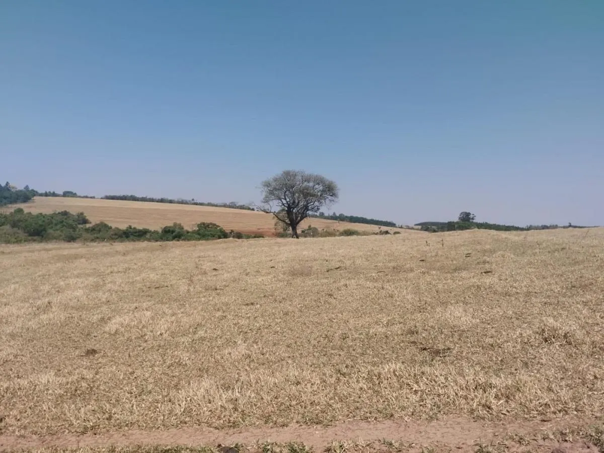 Fazenda à venda de 56 ha em Cássia dos Coqueiros, SP, Brasil
