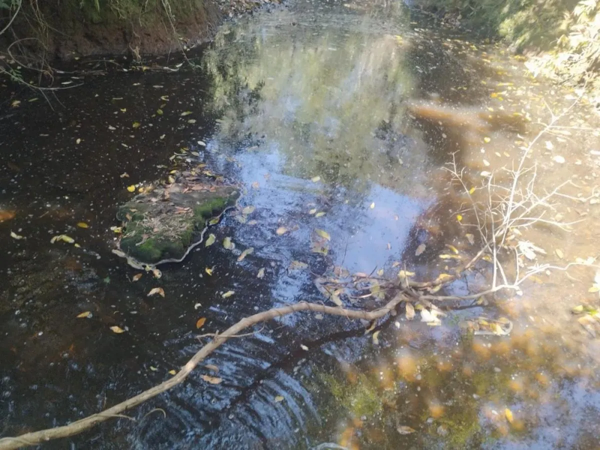 Fazenda à venda de 56 ha em Cássia dos Coqueiros, SP, Brasil