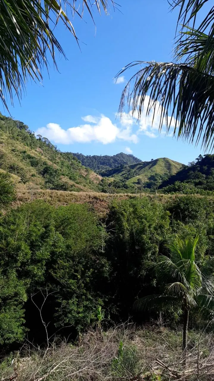 Fazenda à venda de 454 ha em Piraí, RJ, Brasil