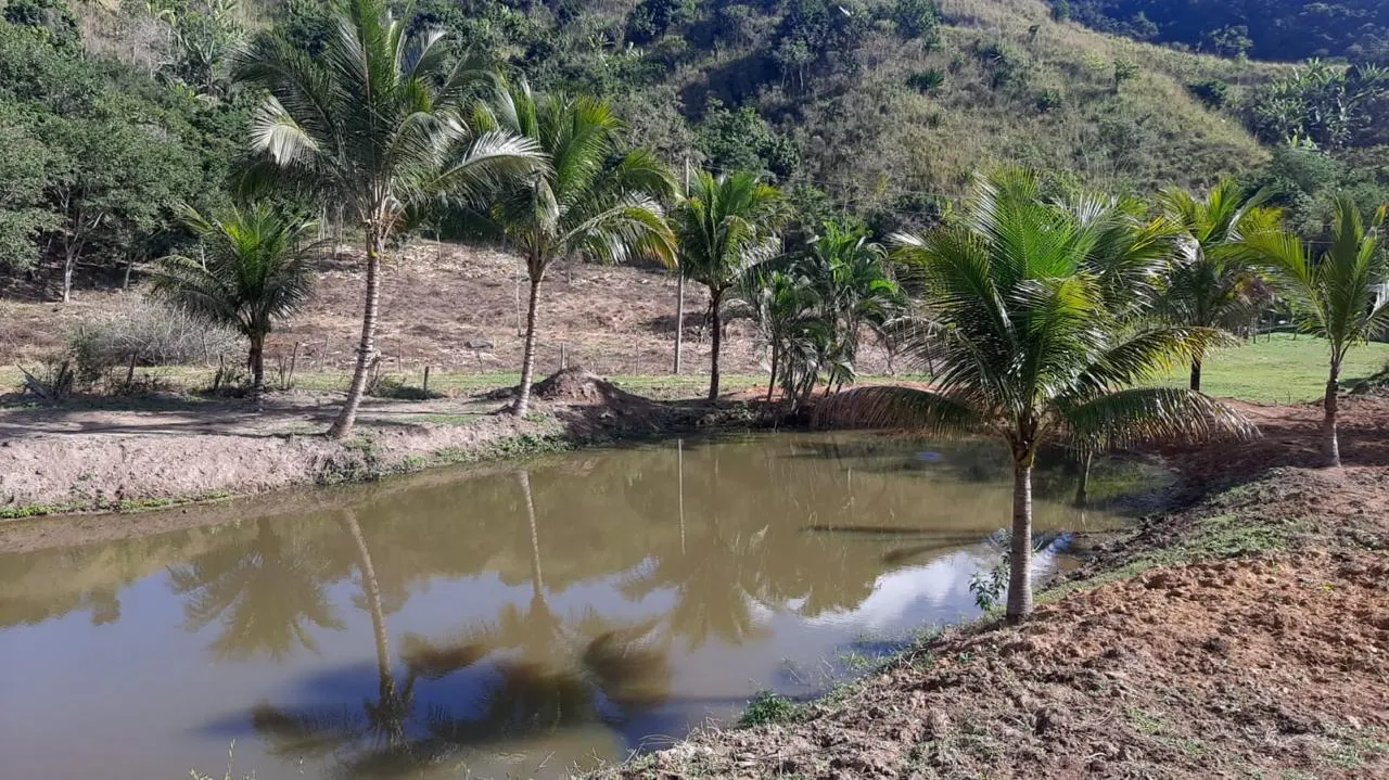 Fazenda à venda de 454 ha em Piraí, RJ, Brasil