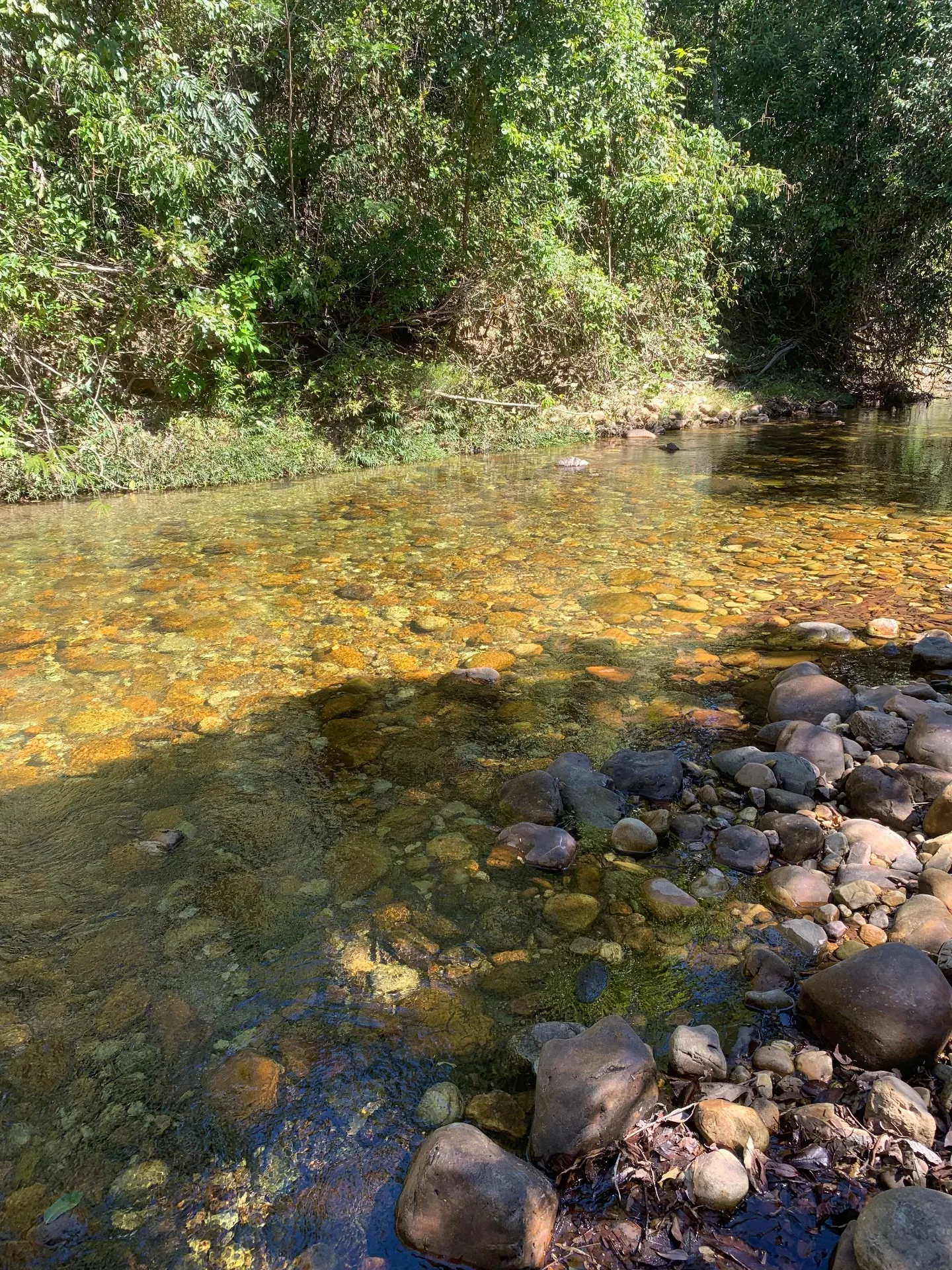 Terreno para Arrendar de 4 ha em Alto Paraíso de Goiás, GO, Brasil