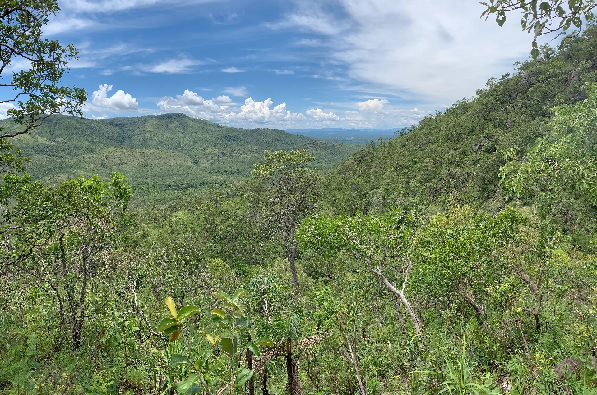 Terreno para Arrendar de 4 ha em Alto Paraíso de Goiás, GO, Brasil