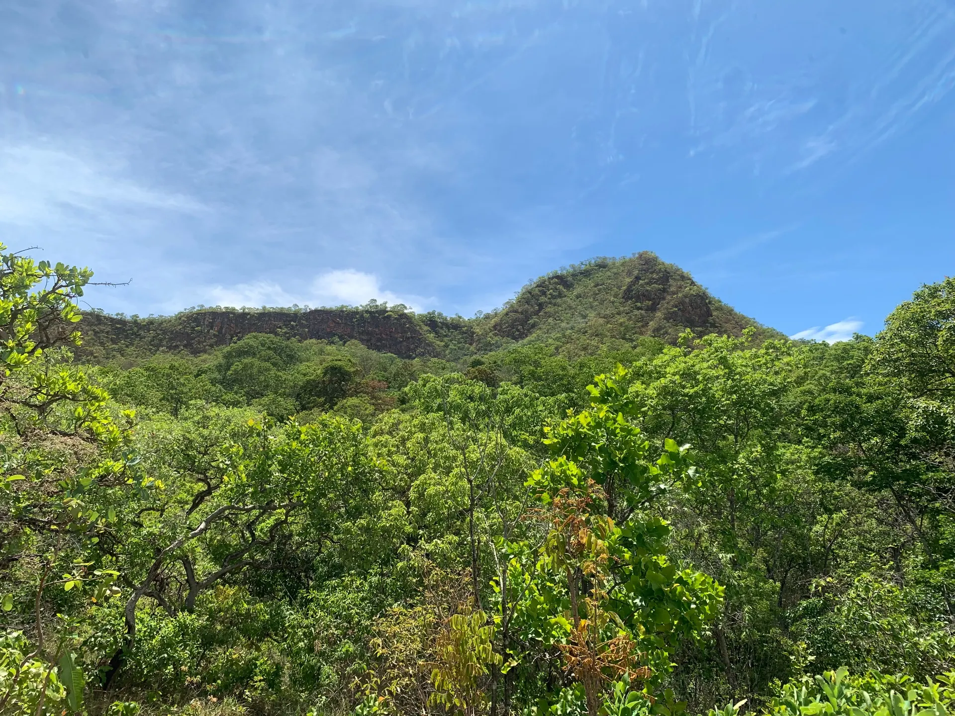 Terreno para Arrendar de 4 ha em Alto Paraíso de Goiás, GO, Brasil