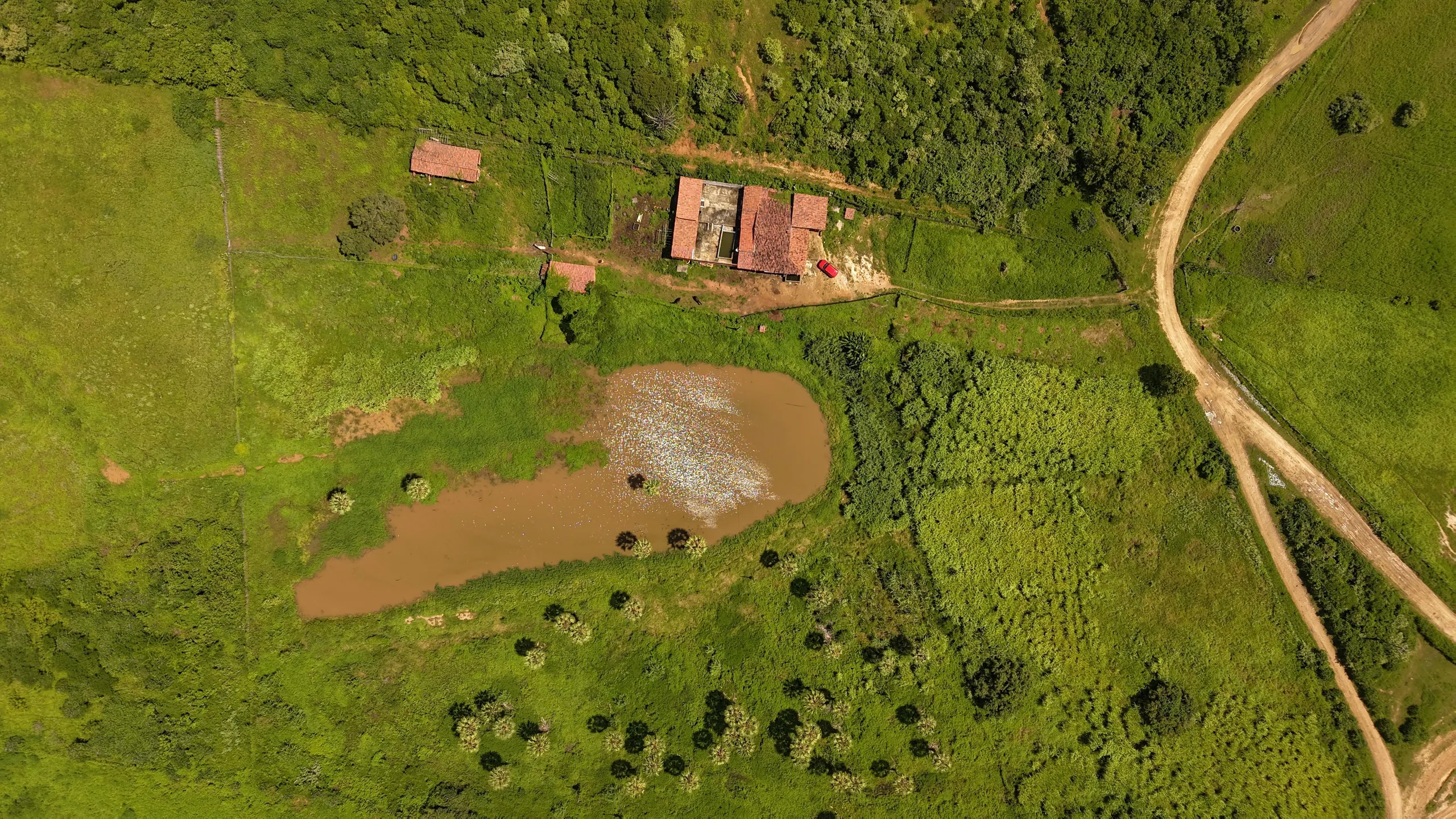 Fazenda à venda de 36 ha em Pentecoste, CE, Brasil
