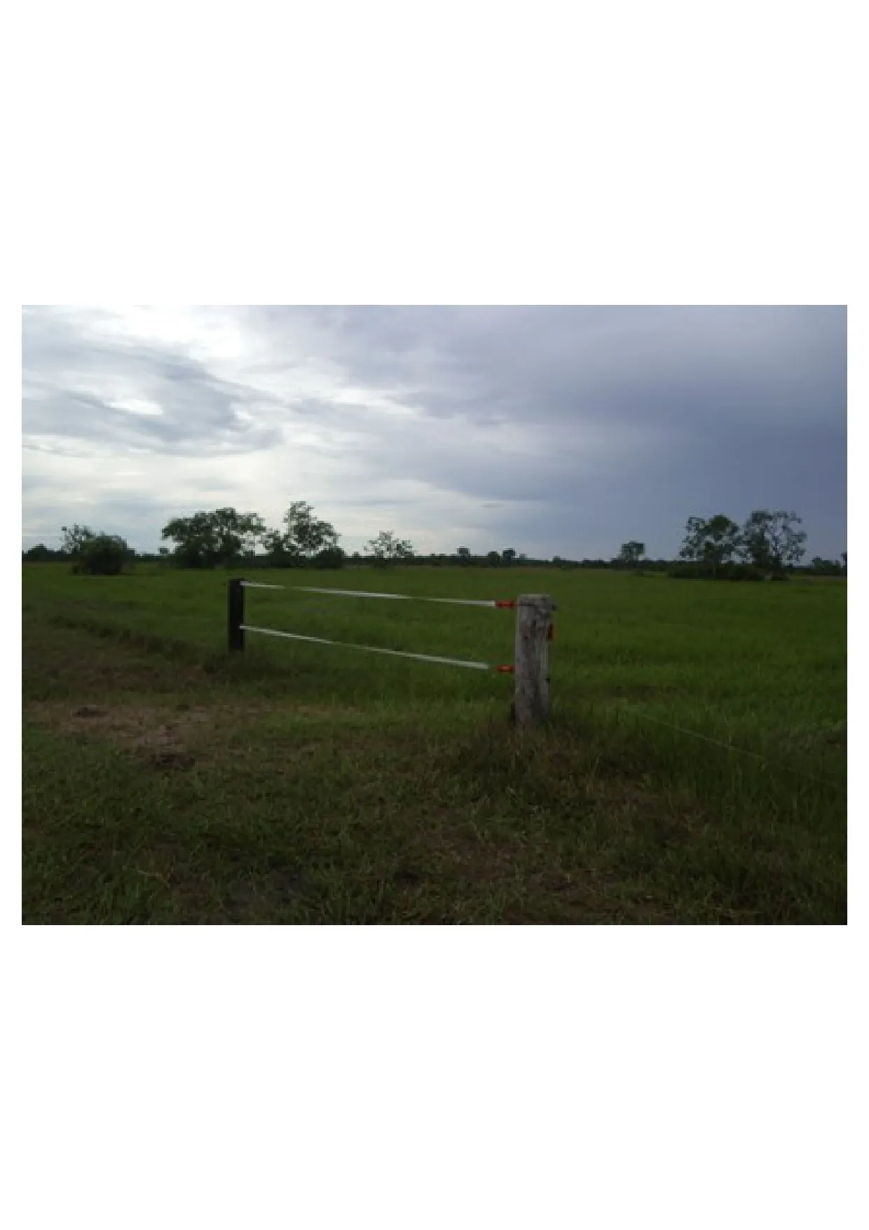 Fazenda à venda de 83.346 ha em São Félix do Araguaia, MT, Brasil