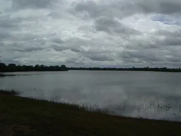 Fazenda à venda de 83.346 ha em São Félix do Araguaia, MT, Brasil