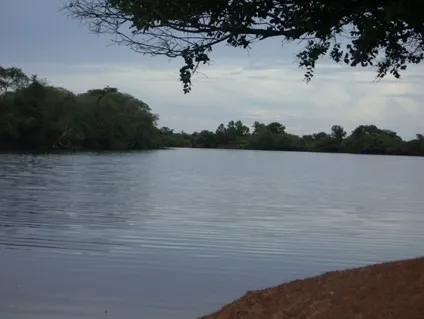 Fazenda à venda de 83.346 ha em São Félix do Araguaia, MT, Brasil